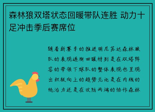 森林狼双塔状态回暖带队连胜 动力十足冲击季后赛席位