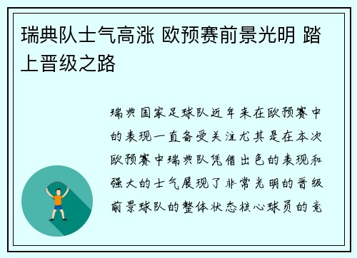 瑞典队士气高涨 欧预赛前景光明 踏上晋级之路
